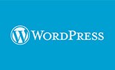 WordPress Web Developer